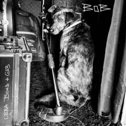 Cover of Bob