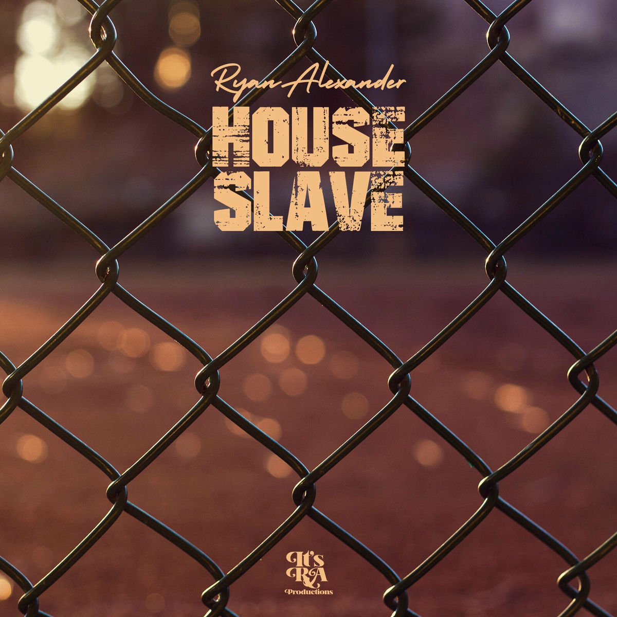 Album cover of House Slave