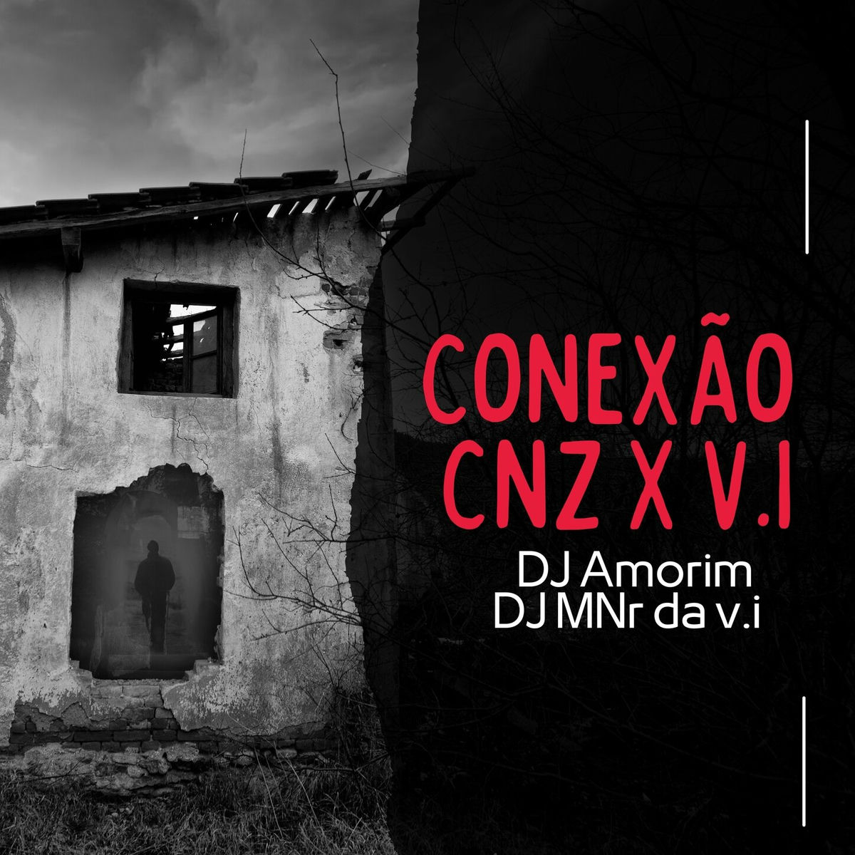 Album cover of Conexão CNZ x V.I
