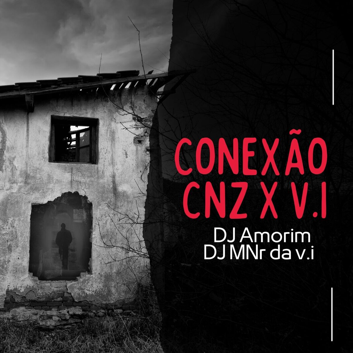 Album cover of Conexão CNZ x V.I
