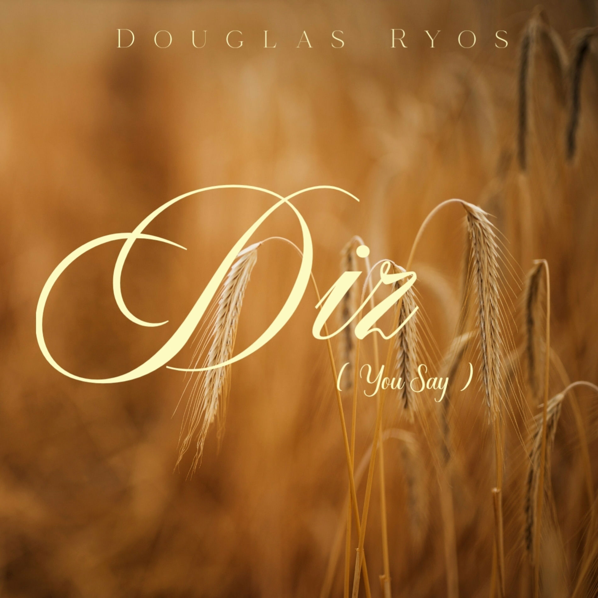 Album cover of Diz (You Say)