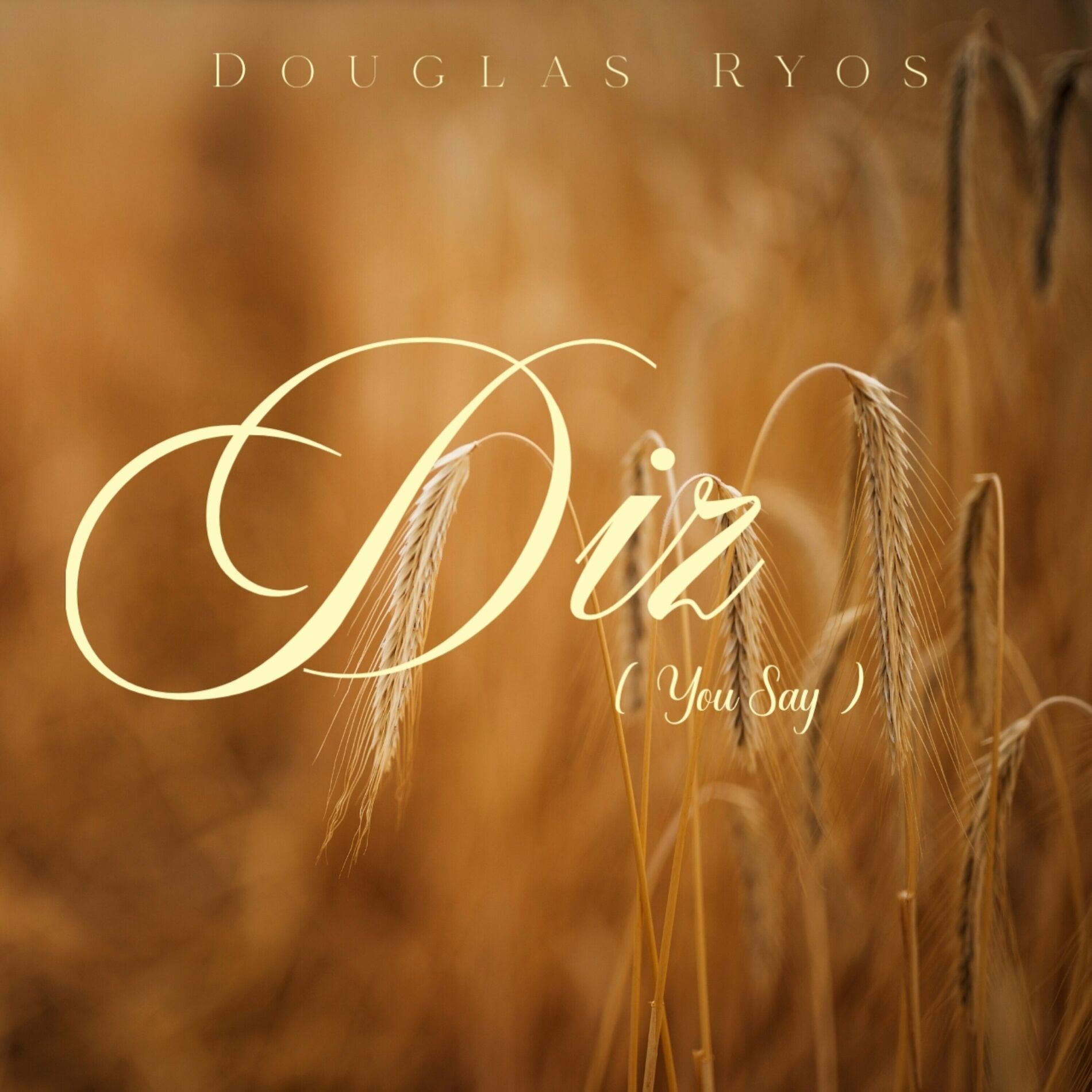 Album cover of Diz (You Say)