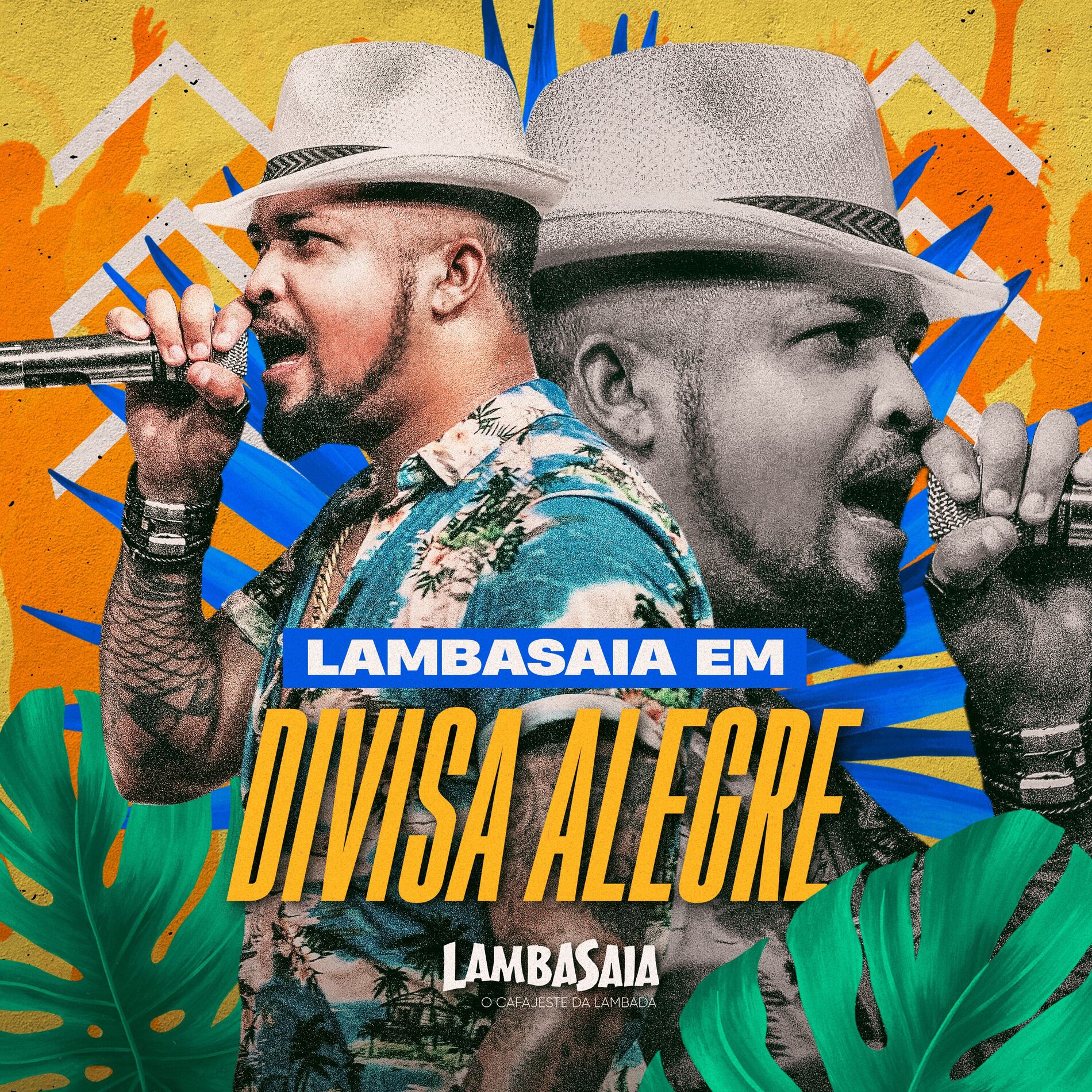 Album cover of Em Divisa Alegre