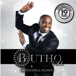 Cover of Ndozimela Ngawe