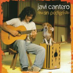 music cover