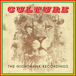Cover of The Nighthawk Recordings
