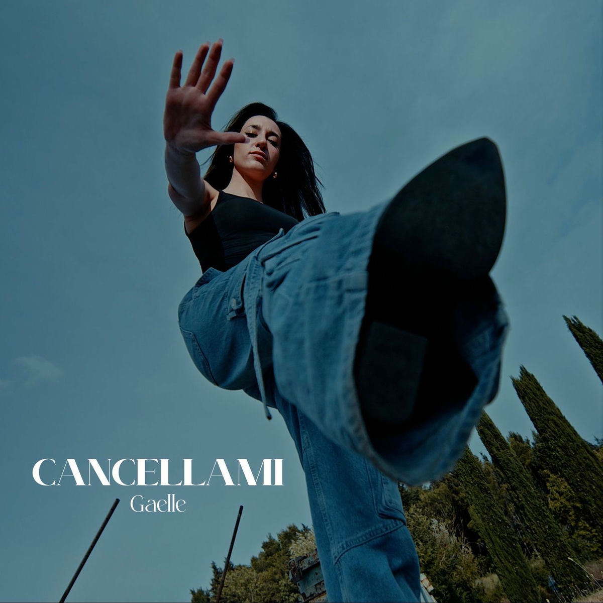 Album cover of Cancellami