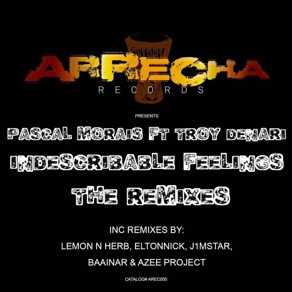 Picture of Indescribable Feelings (The Remixes)