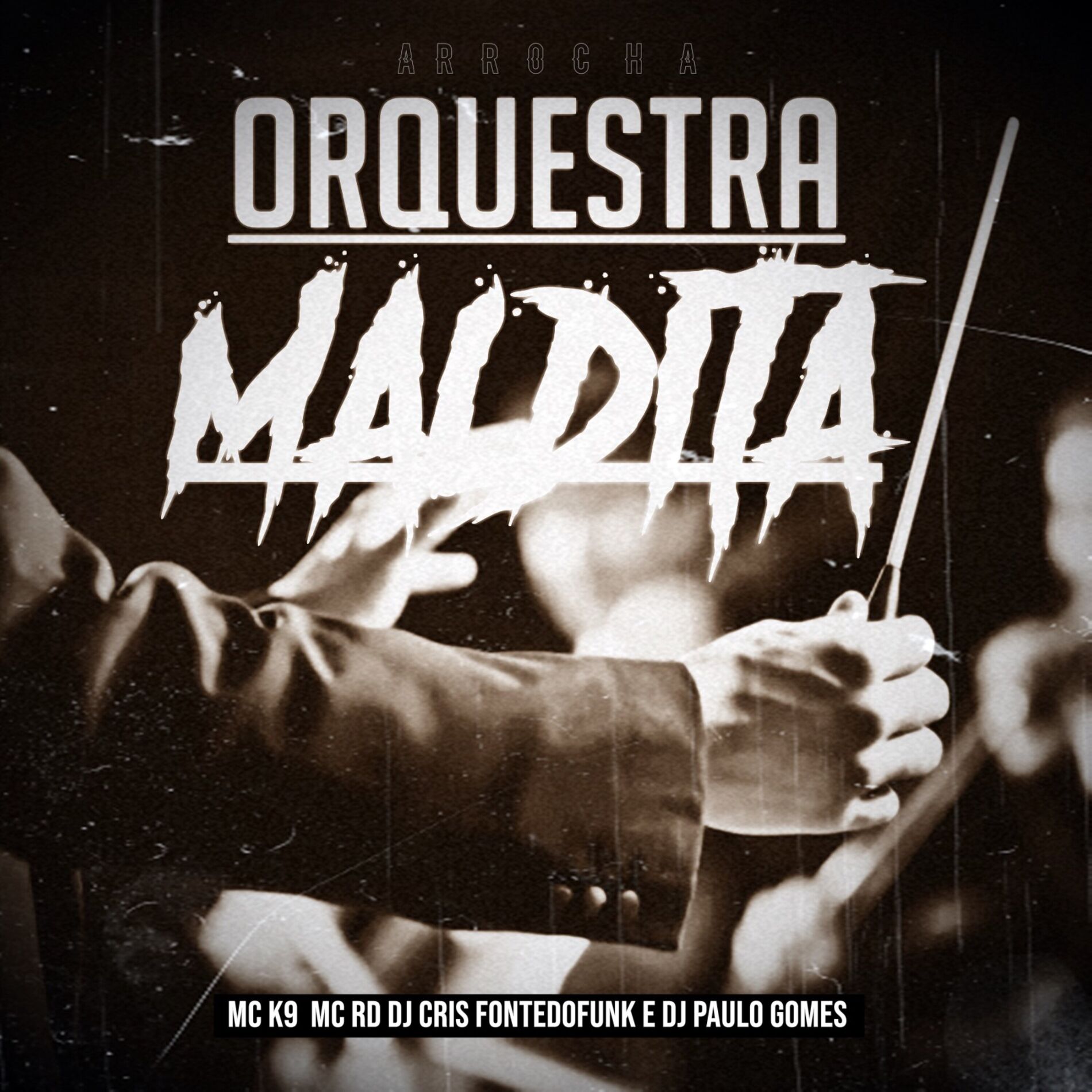Album cover of Arrocha Orquestra Maldita