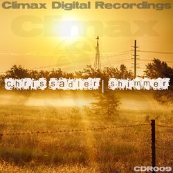 Cover of Shimmer