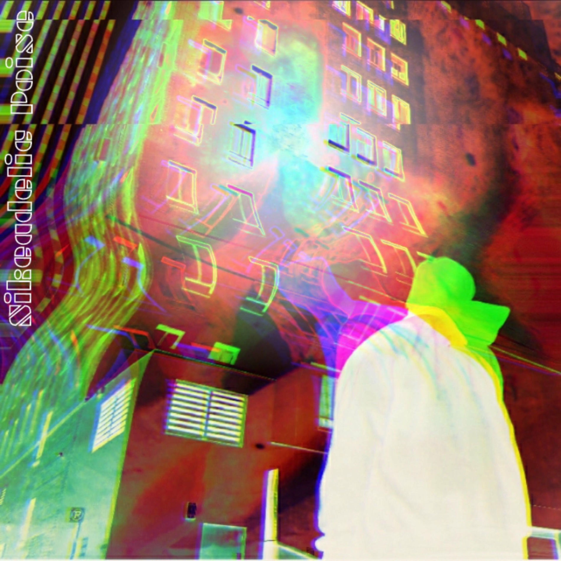 Album cover of Hip Hop Switched On