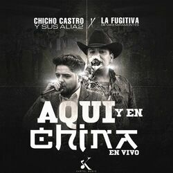 Cover of Aquí y en China