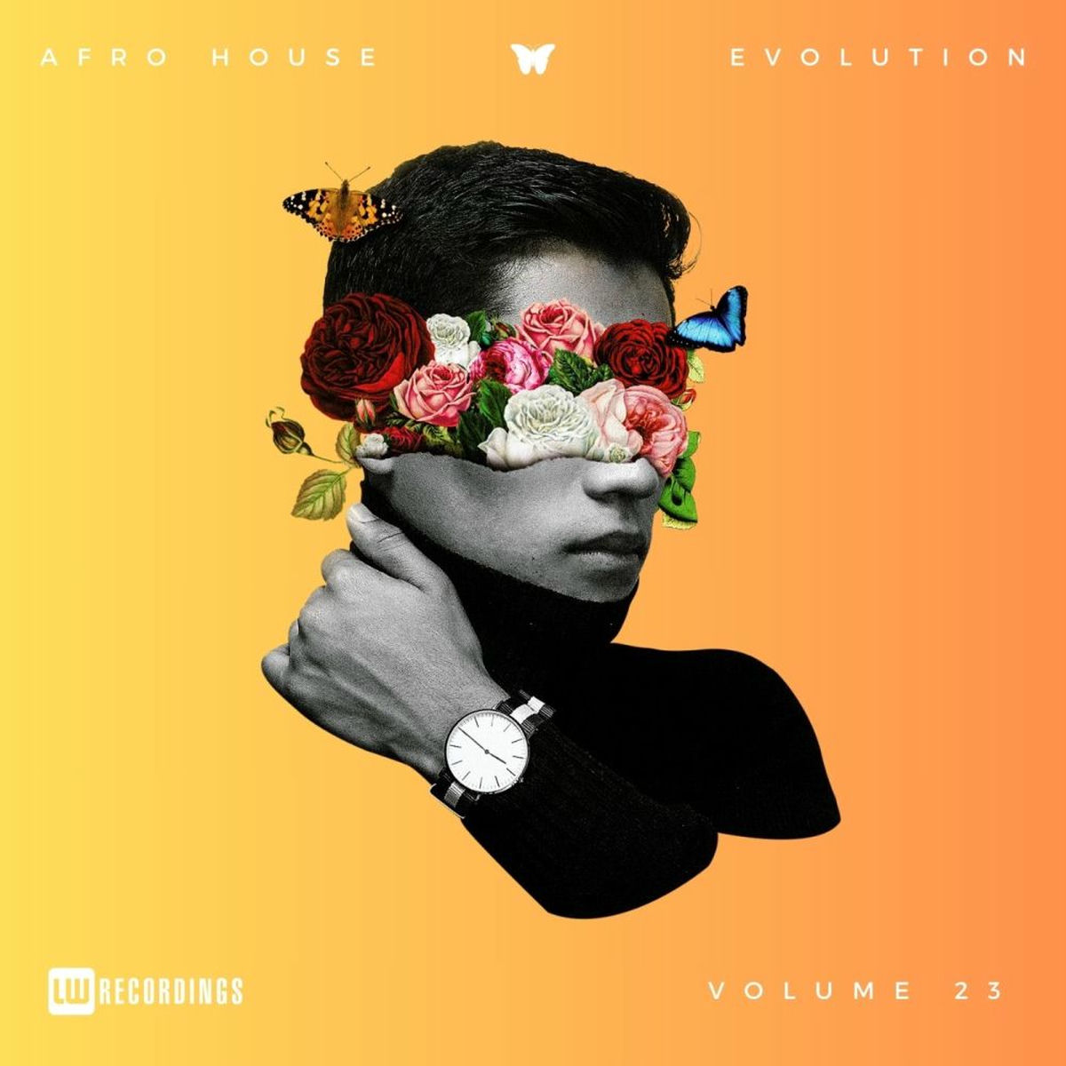 Album cover of Afro House Evolution, Vol. 23