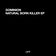 Natural Born Killer (Original Mix) by Dominion album cover