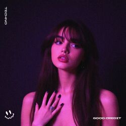 Cover of GOOD CREDIT (TECHNO)