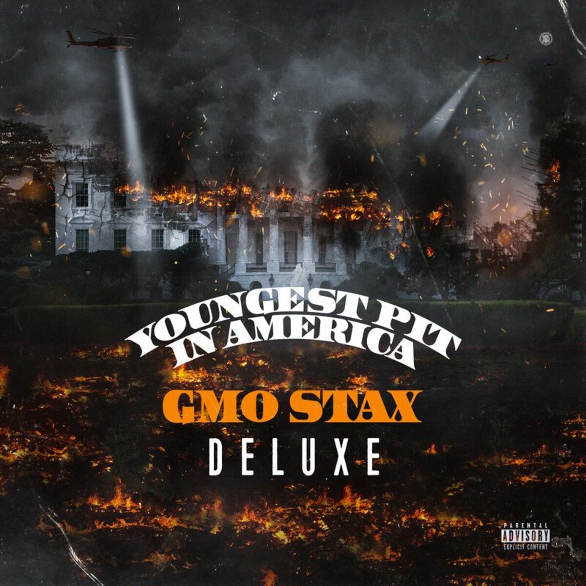 Album cover of Youngest Pit In America (Deluxe)