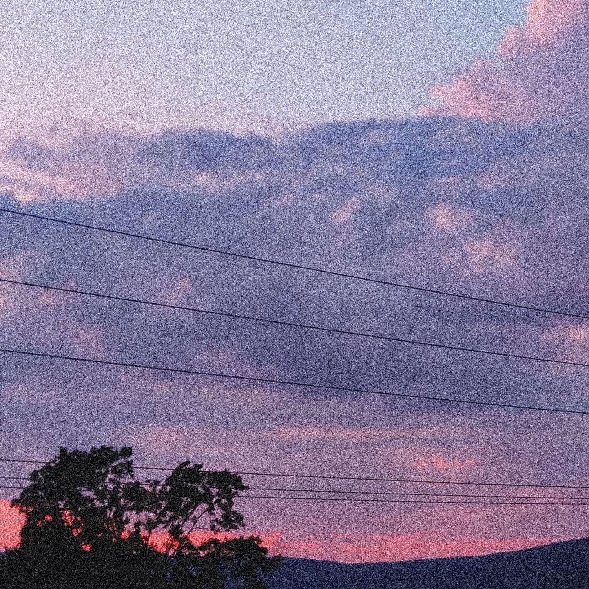 Album cover of hanging from the trees (feat. sadgods & fawlin)