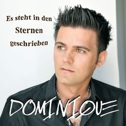 Cover of Es steht in den Sternen geschrieben