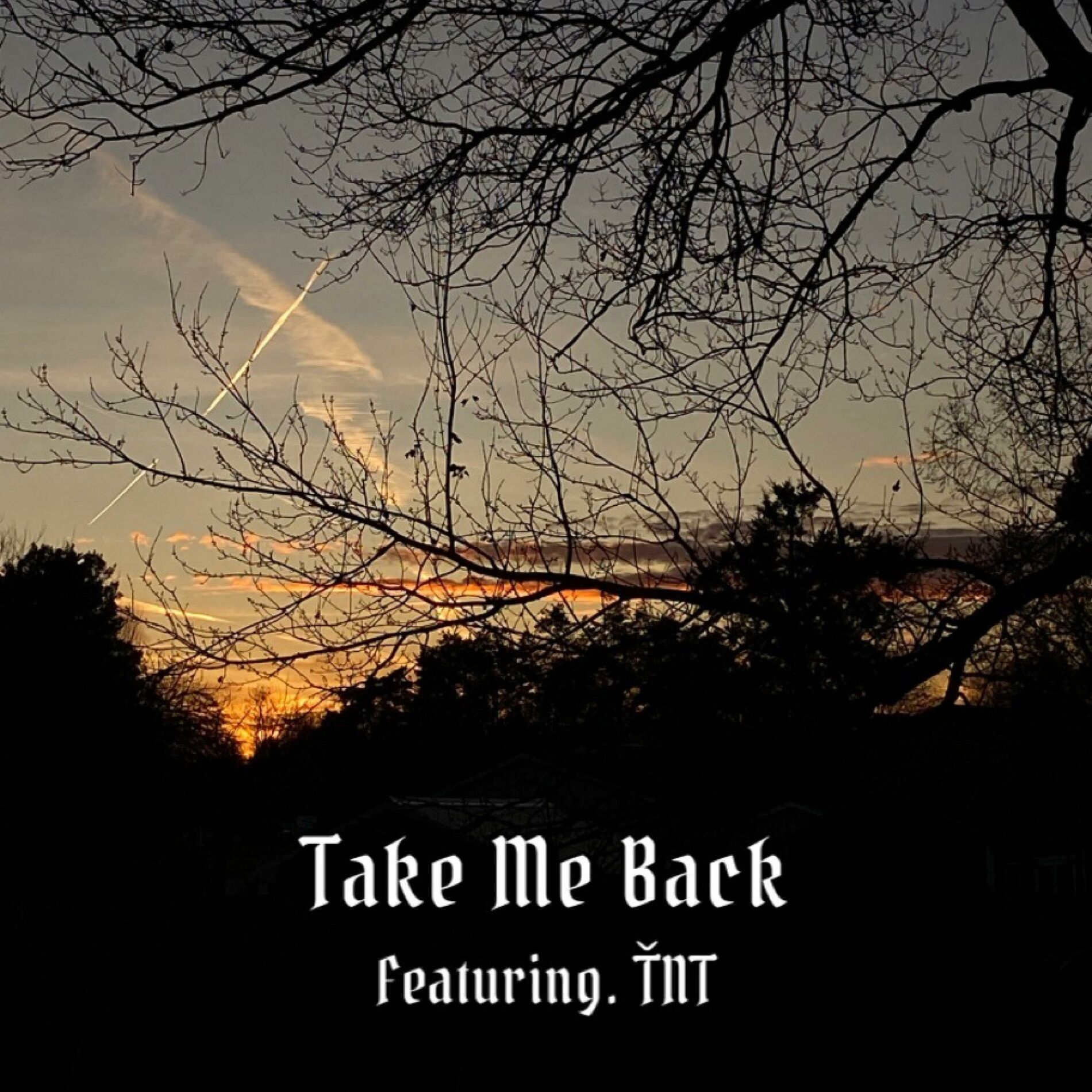 Album cover of Take Me Back (feat. ŤNT)
