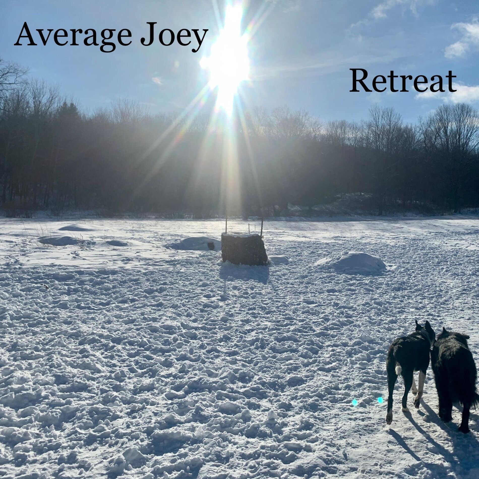 Album cover of Retreat