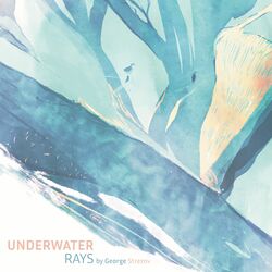 Cover of Underwater Rays