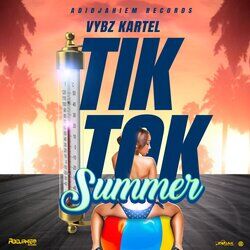 Cover of Tik Tok Summer