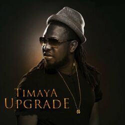 Cover of Upgrade