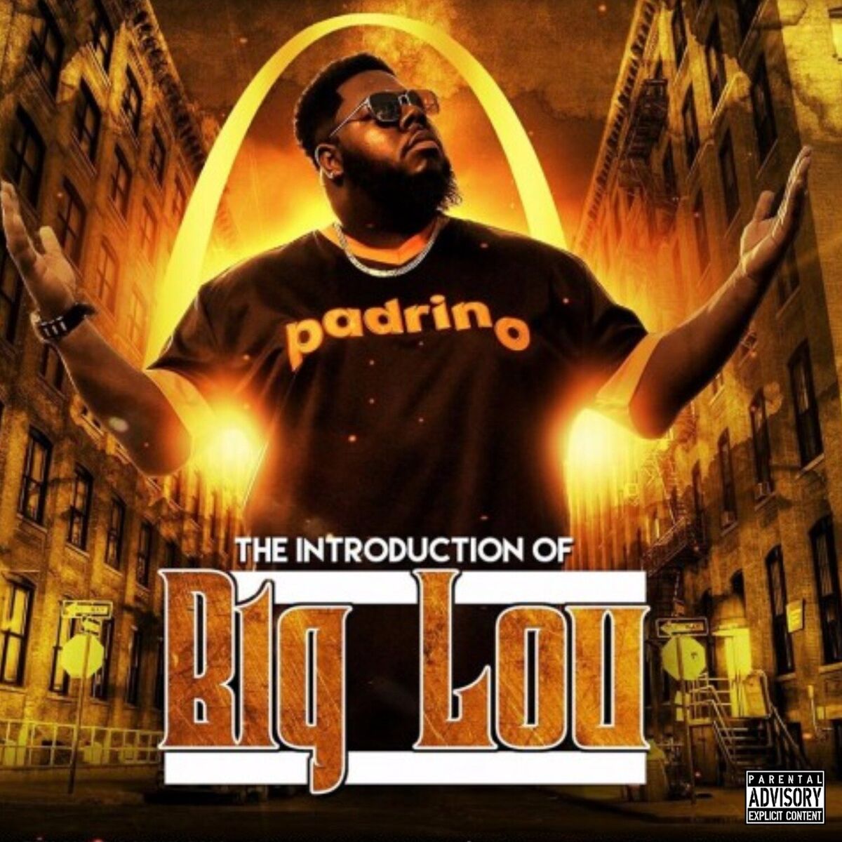 Album cover of The Introduction of Big Lou