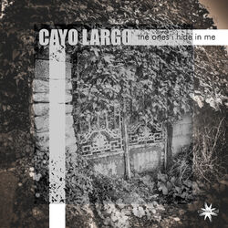 Cover of The Ones I Hide in Me