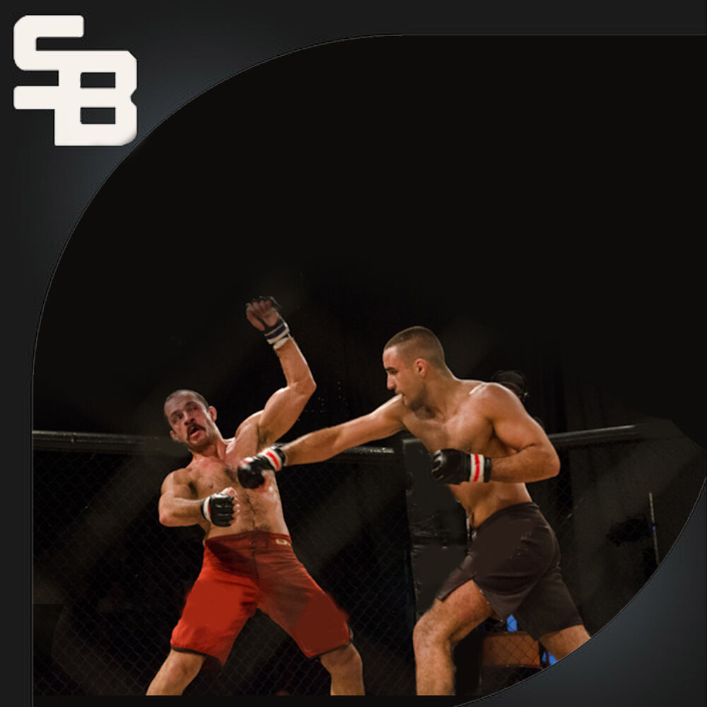 Picture of Fight