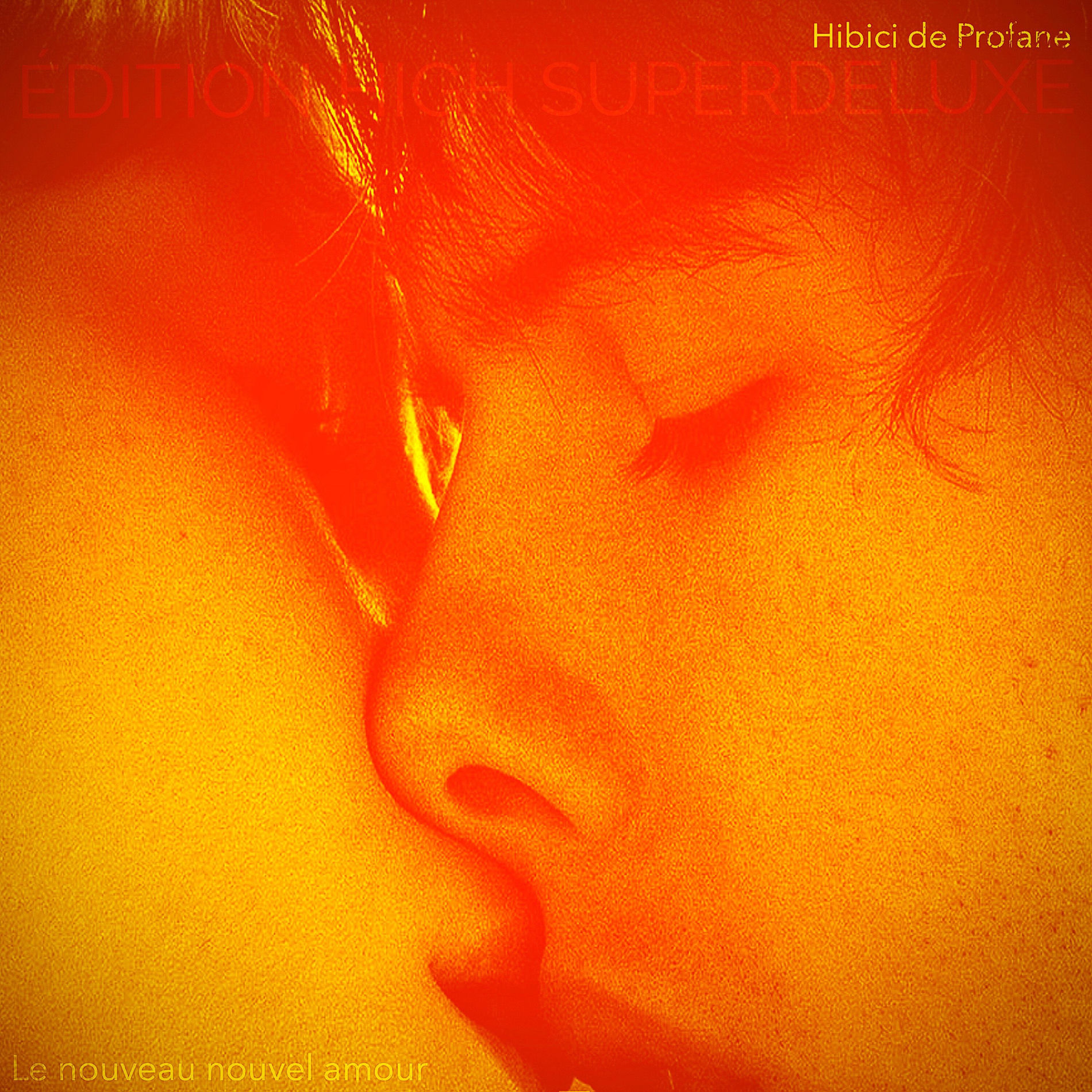 Album cover of Le nouveau nouvel amour