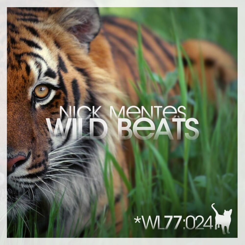 Picture of Wild Beats