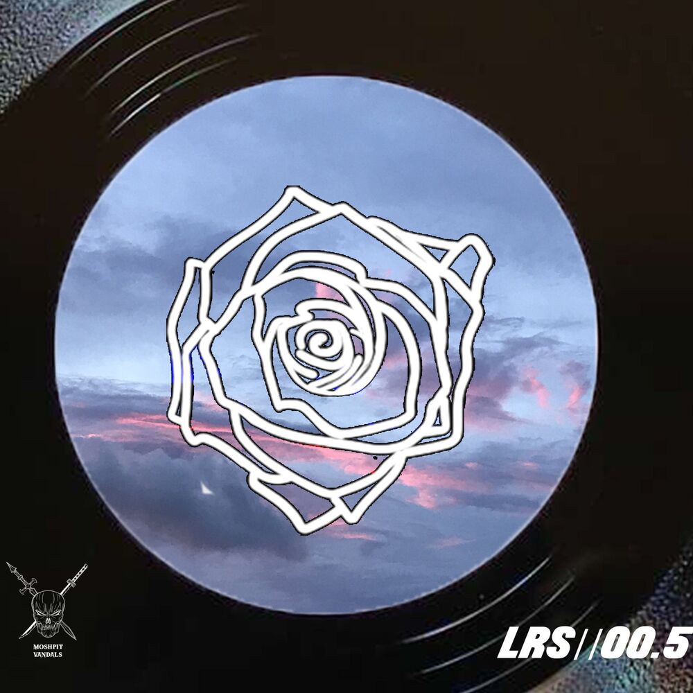 Picture of LRS 00.5