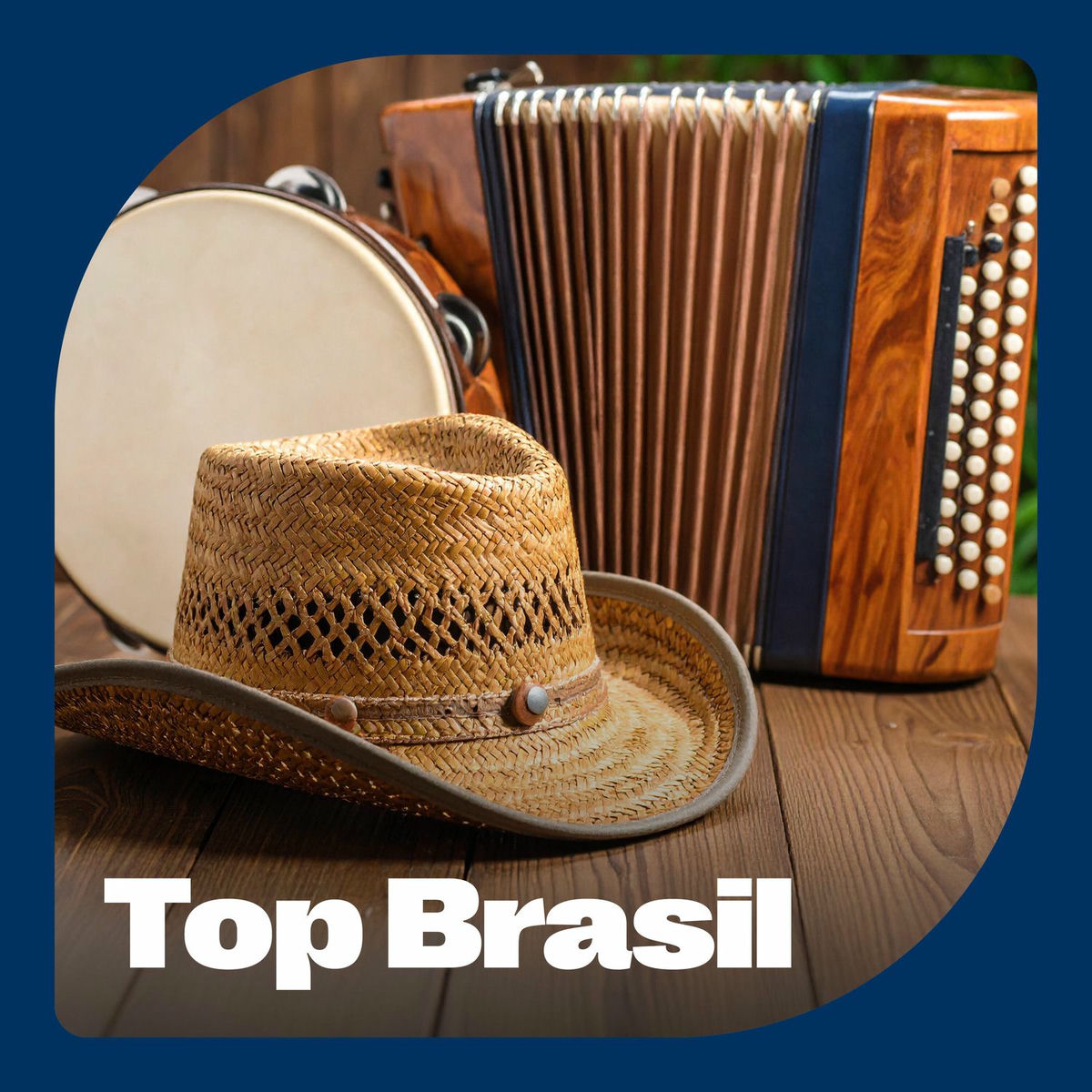 Album cover of Top Brasil - O Melhor do Pagode, Sertanejo e Forró (Ao Vivo)