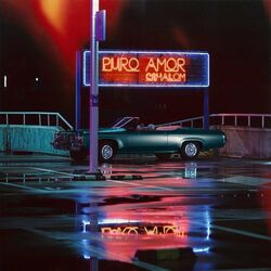 Cover of Puro Amor