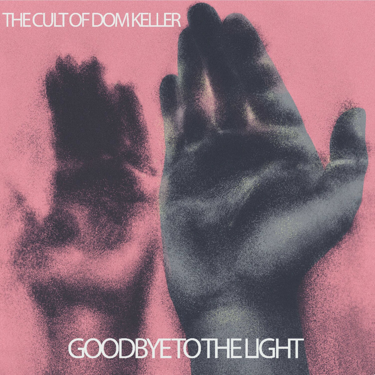 Album cover of Goodbye to the Light
