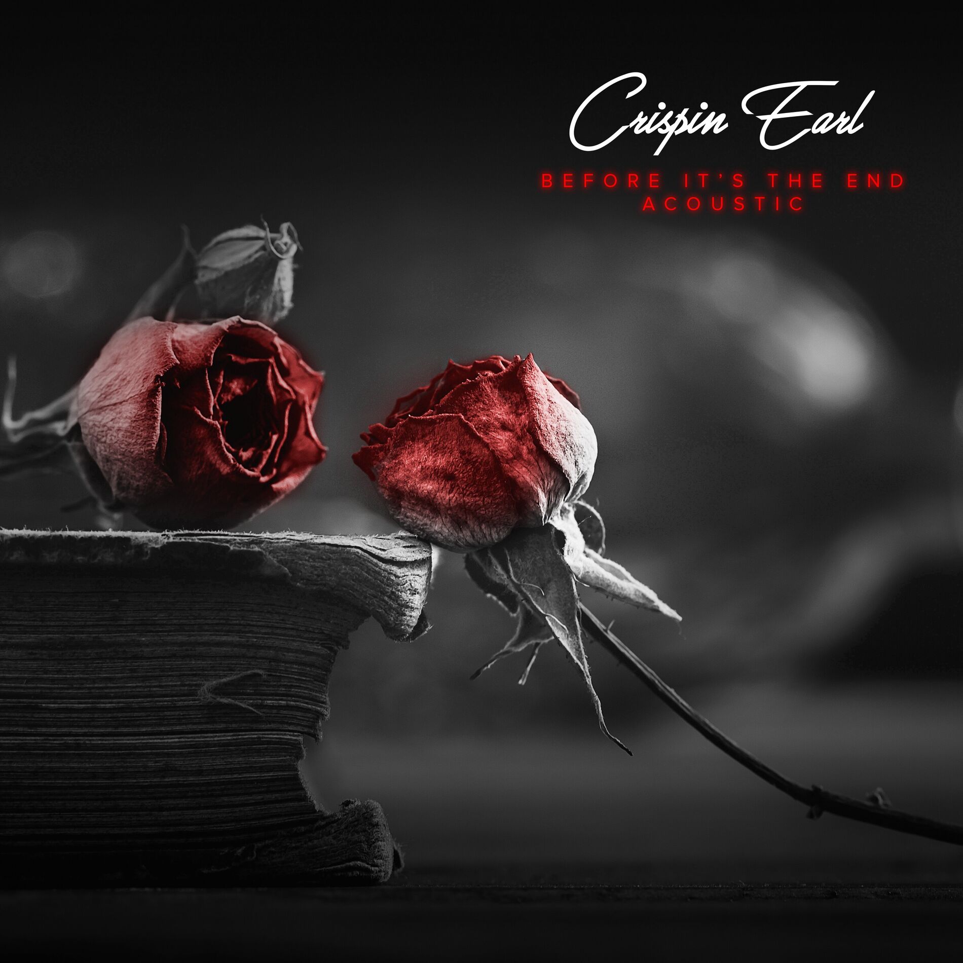 Album cover of Before It's The End (Acoustic)