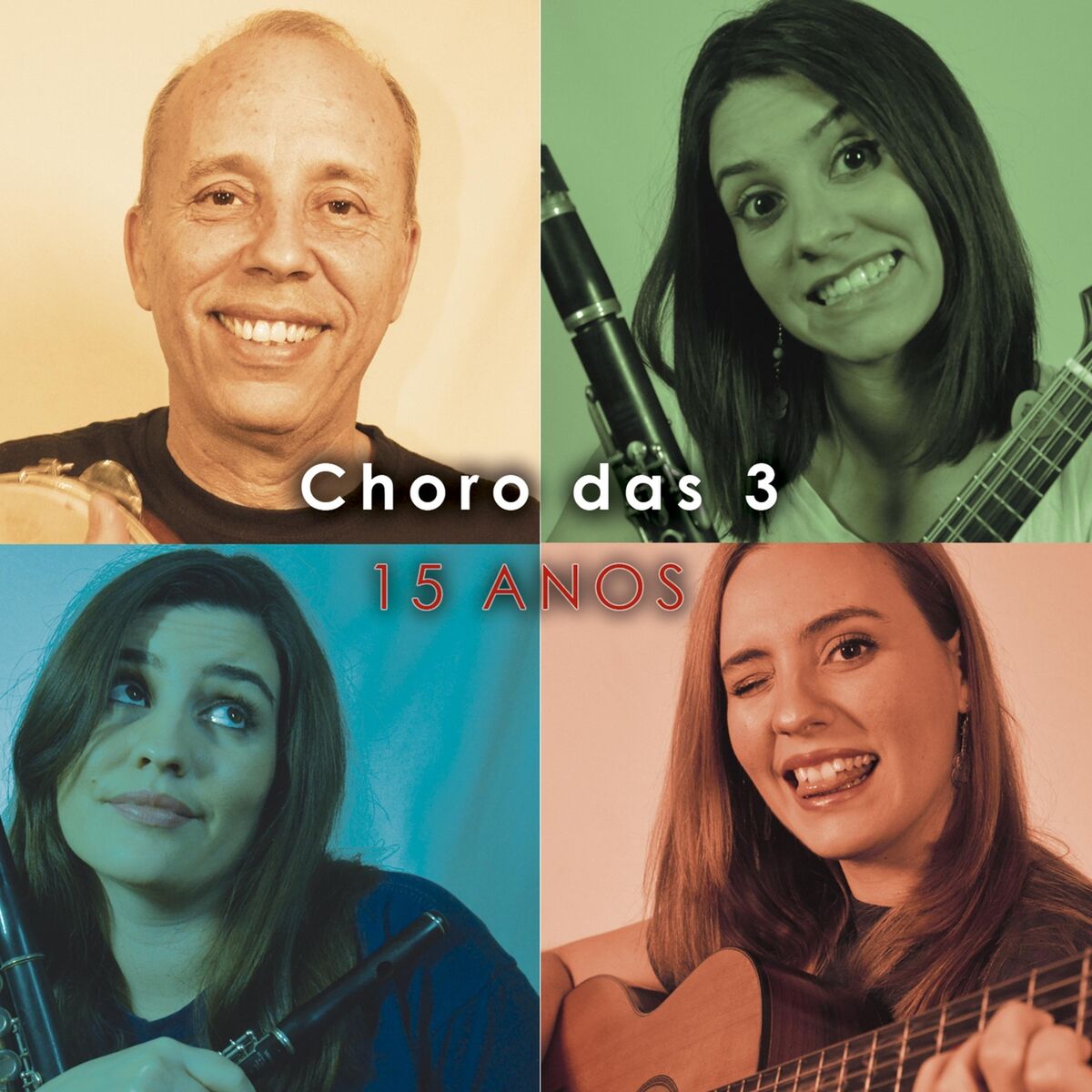 Album cover of 15 Anos