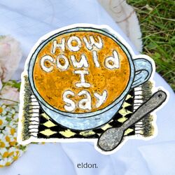 Cover of How could I say