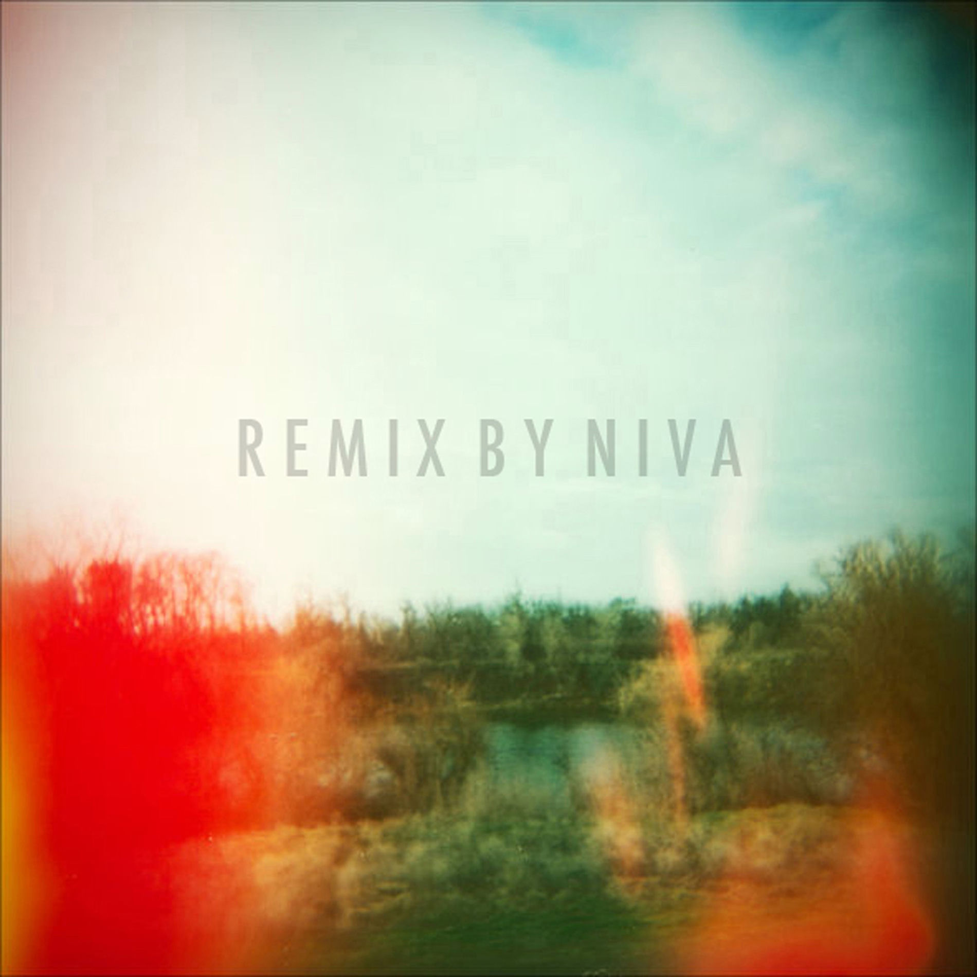 Album cover of Remix by Niva