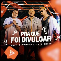 Cover of Pra Que Foi Divulgar