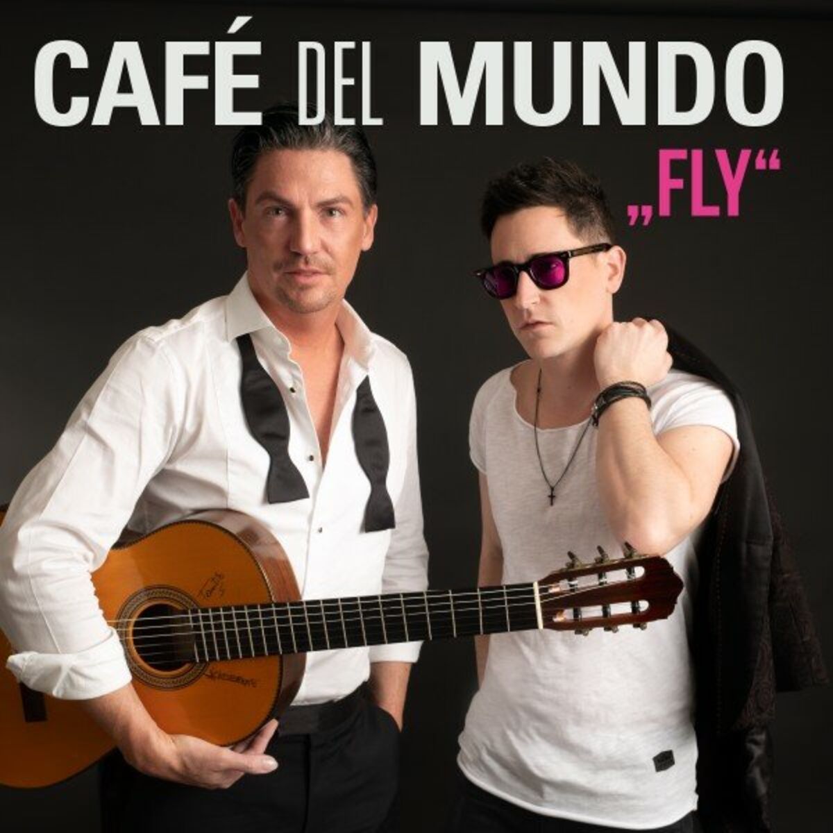 Album cover of Fly