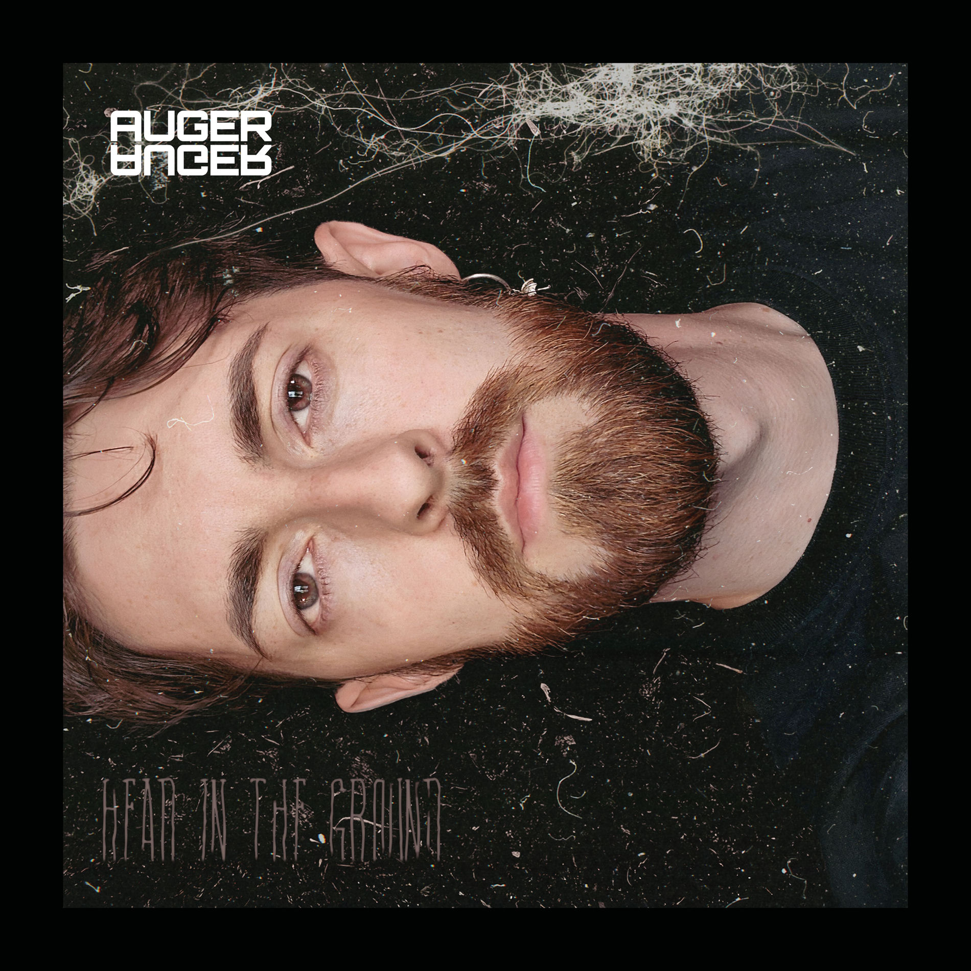 Album cover of Head In The Ground