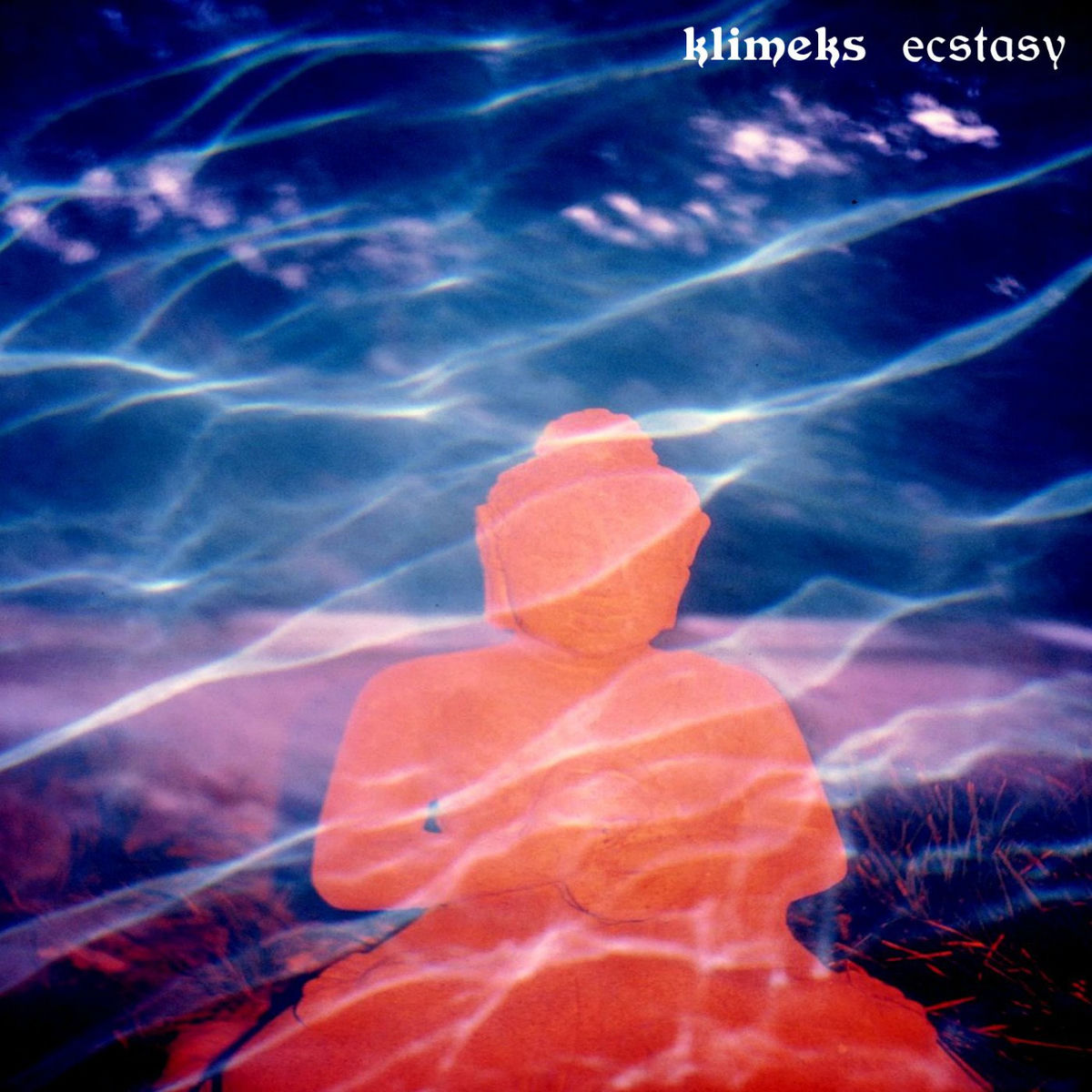 Album cover of Ecstasy
