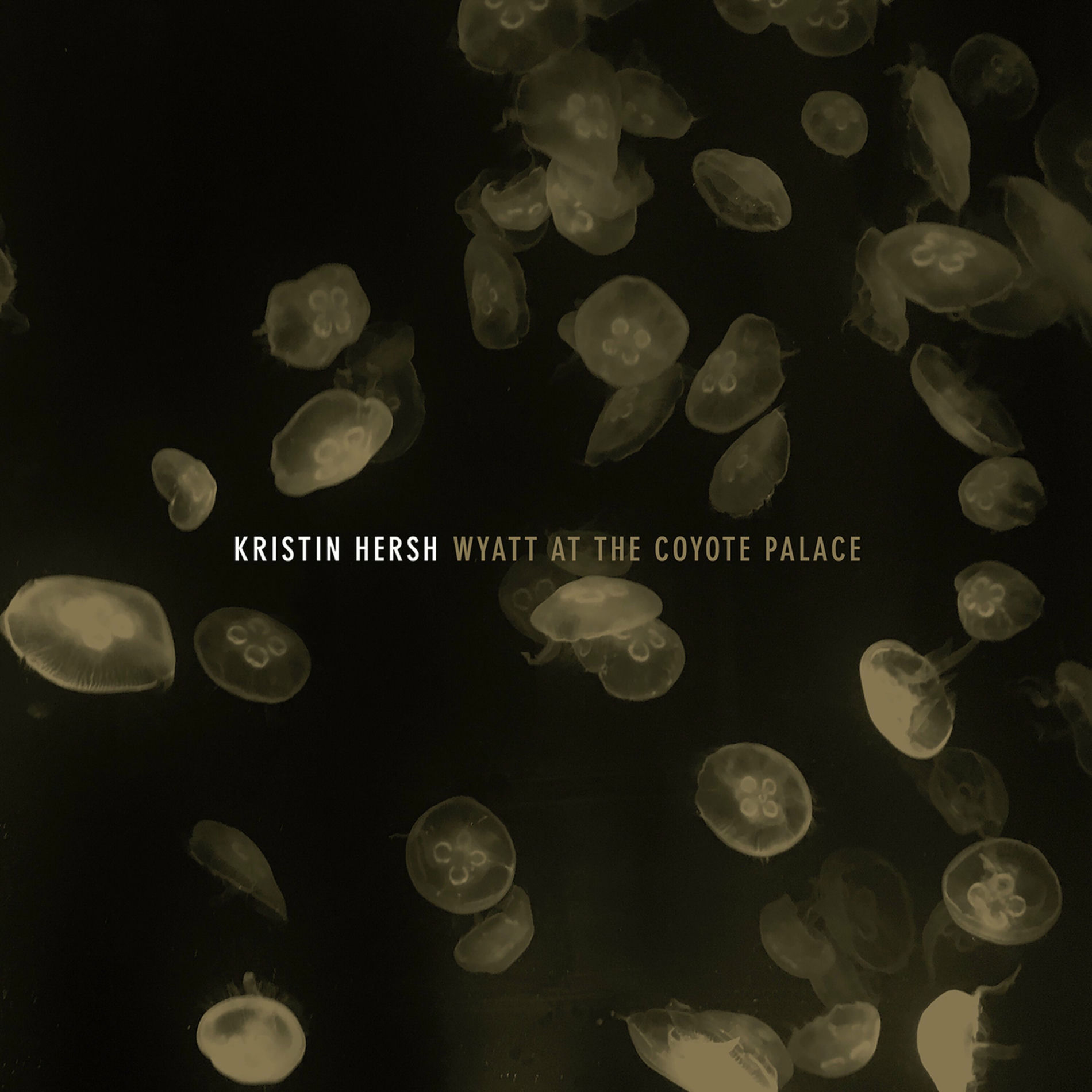 Album cover of Wyatt at the Coyote Palace