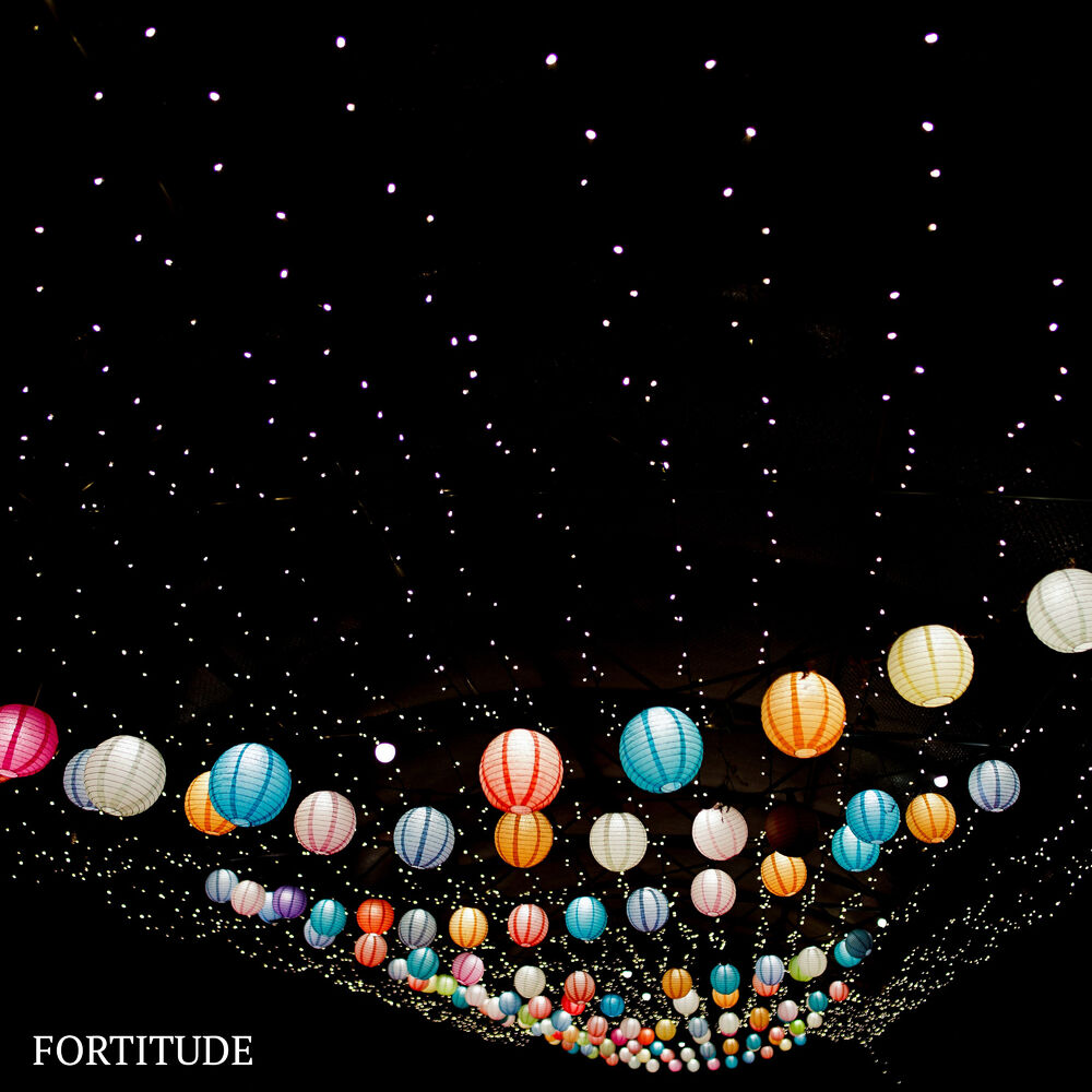 Picture of Fortitude