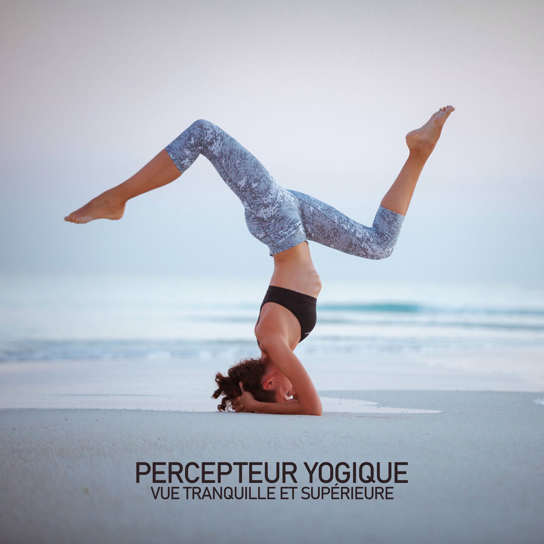 Album cover of Percepteur yogique: Vue tranquille et supérieure