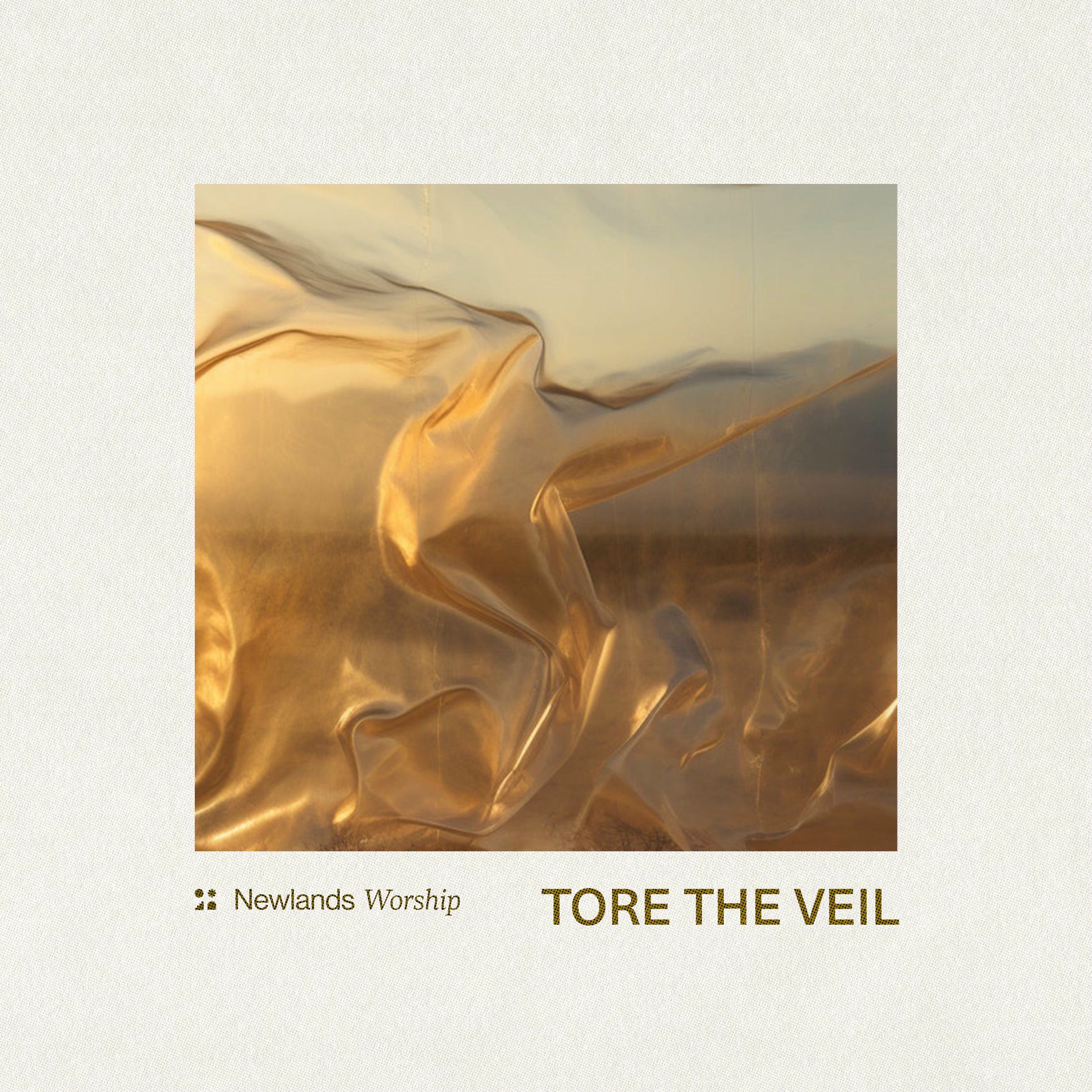 Album cover of Tore the Veil