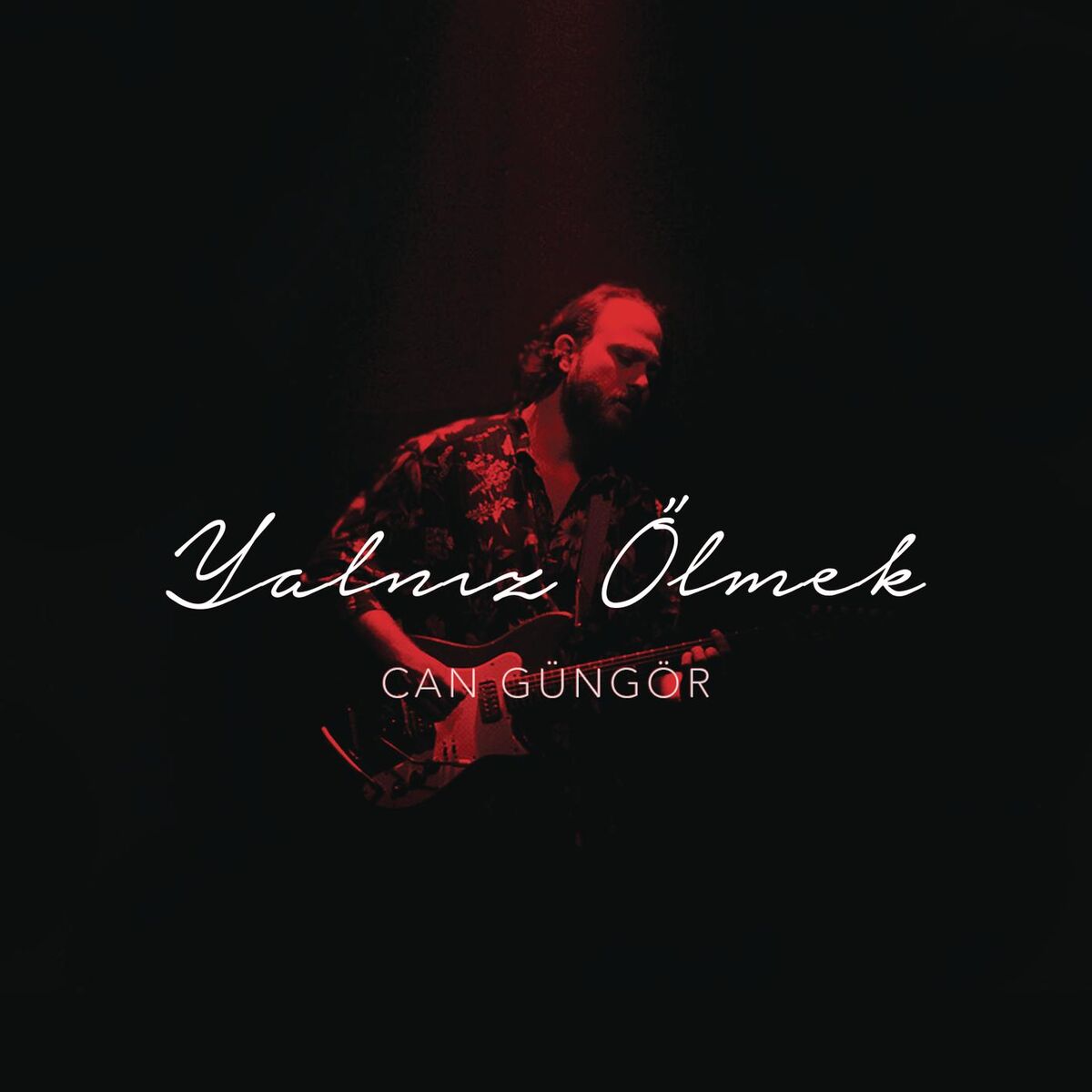 Album cover of Yalnız Ölmek