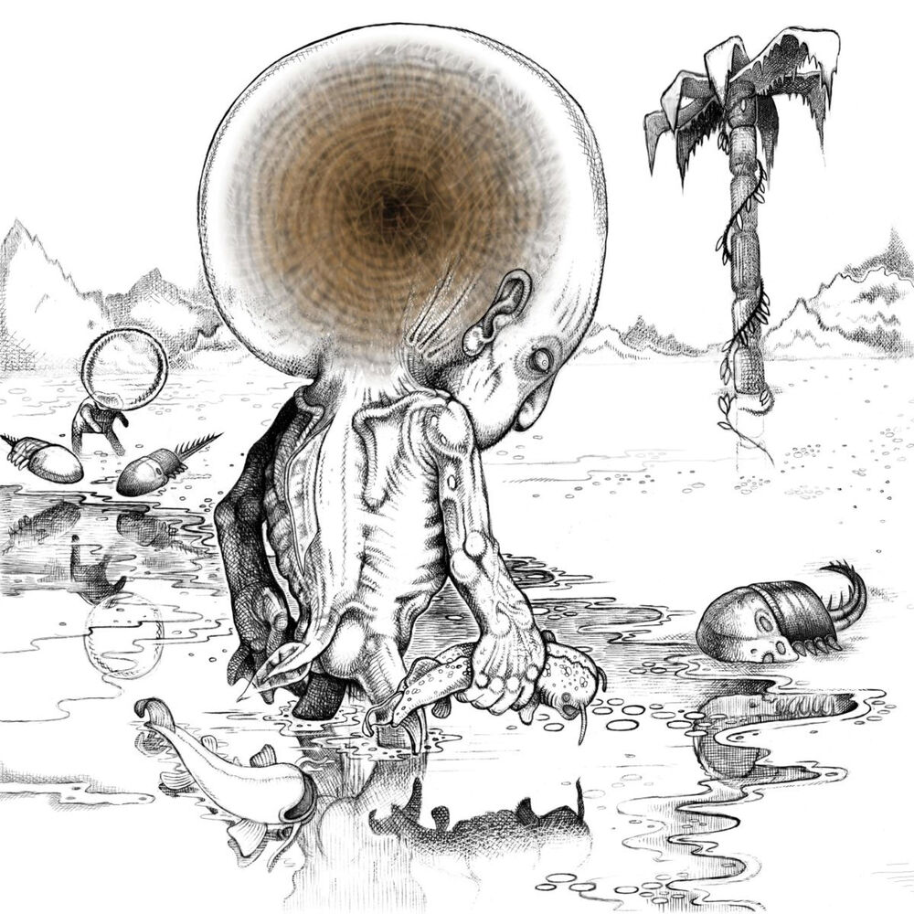 Picture of Sferic Ghost Transmits